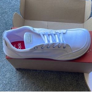 Splay Footwear Men's Canvas Casual/Gym shoes